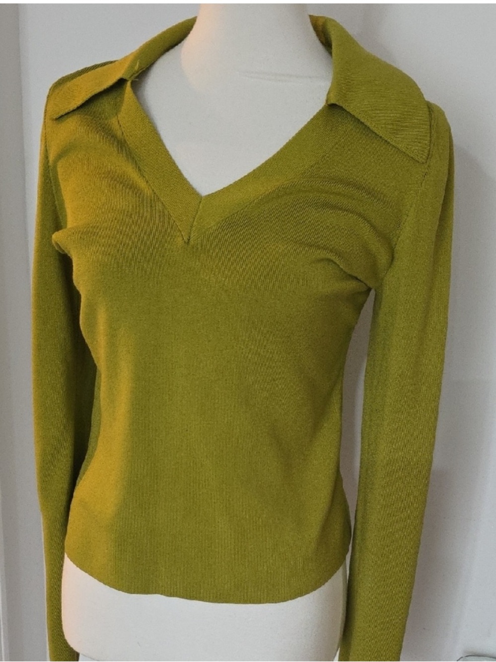 Express Green V-Neck Sweater with Collar
